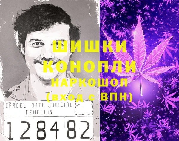 PSILOCYBIN Алексеевка