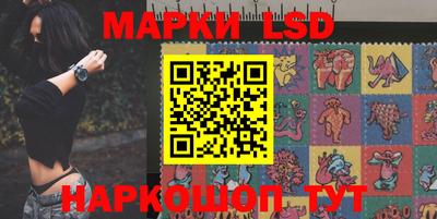 гашик Владимир