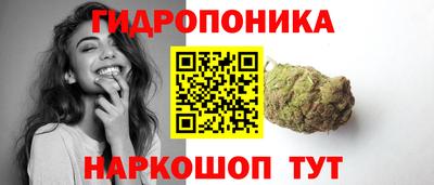 гашик Владимир
