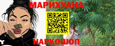 гашик Владимир